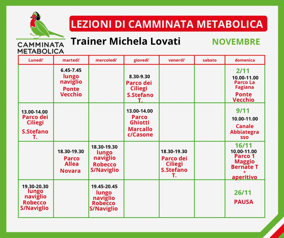 Programma Lezioni_Michela - programma lezioni settimanali (3)
